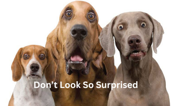 Policy-does-not-cover Policy-does-not-cover